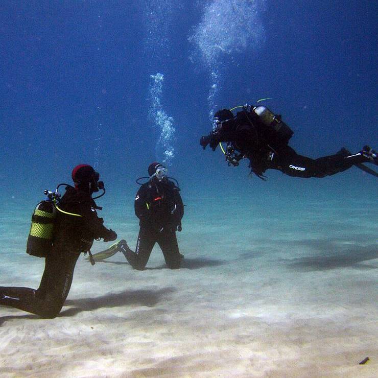 Curso Open Water Diver